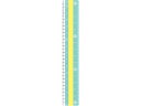 【店内全品ポイント2倍★16日9:59迄】 クツワ モジサシ定規 16cm ミント KB033MT 定規 スケール 教材 学童用品
