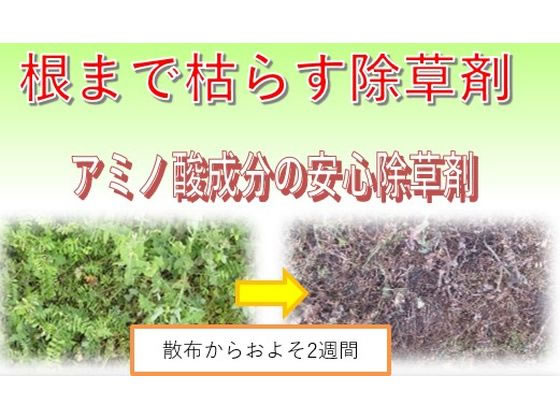 �ڥ�ӥ塼��Ƥ�100��OFF�����ݥ�ۥȥॽ�󥳡��ݥ졼����� ���ޤǸϤ餹����� 500ml