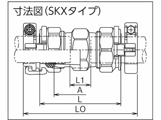 �ڥ�ӥ塼��Ƥ�100��OFF�����ݥ�ۡڤ����󤻡�SK����˥� �ݴ��ѷѼ� SKX�����å�20 SKX-S-20 �Ѽ� �ѥ��� ��ƻ ��Ĵ�۴��ѹ��� ������� ����