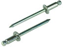 【お取り寄せ】エビ ブラインドリベット(ステンレス/スティール製) 5-5(25本入) エコパック NSS55MP ボルト ねじ 釘 素材 作業用品 工具