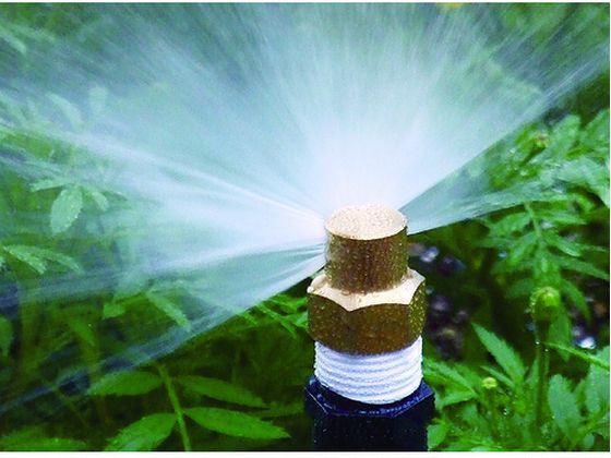 �ڥ�ӥ塼��Ƥ�100��OFF�����ݥ�ۡڤ����󤻡ۥ������� ���ץ쥤�إå�13 576-911 ʮ̸�� ���� ʮ̸ ���Ȼ�� ������� ������� ����