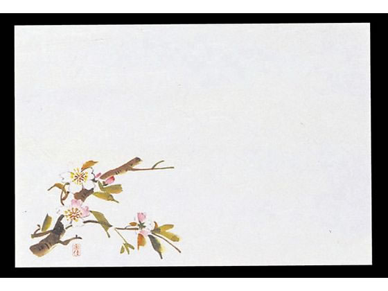 【レビュー投稿で100円OFFクーポン】【お取り寄せ】マイン 四季紙 千寿 100枚入 M30-205 桜 6068300 キッチン雑貨