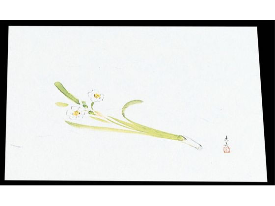 其它 - 【マラソン限定★ポイント2倍】 【お取り寄せ】マイン 四季紙 萬寿 100枚入 M33-107 水仙 7961700 キッチン雑貨