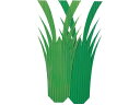 【ポイント2倍★19日20:00~26日1:59迄】【お取り寄せ】旭創業 バラン 海老型1号 1000枚入 7866800 キッチン雑貨