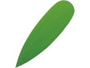 【ポイント2倍★19日20:00~26日1:59迄】【お取り寄せ】旭創業 バラン 笹 1000枚入 大 195×57 7867200 キッチン雑貨