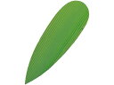 【ポイント2倍★19日20:00~26日1:59迄】【お取り寄せ】旭創業 バラン 笹 1000枚入 中 157×47 7867300 キッチン雑貨