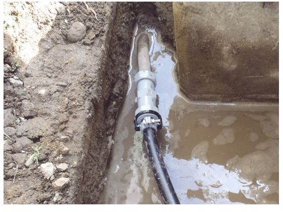 �ڥ�ӥ塼��Ƥ�100��OFF�����ݥ�ۡڤ����󤻡�SK����˥� ����1��߱��Ӵ��Ѱۼ�Ѽ� SKX�����Ѱۼ諒���å� V13�ߥͥ�16 SKX-S-V13XN16 �Ѽ� �ѥ��� ��ƻ ��Ĵ�۴��ѹ��� ������� ����