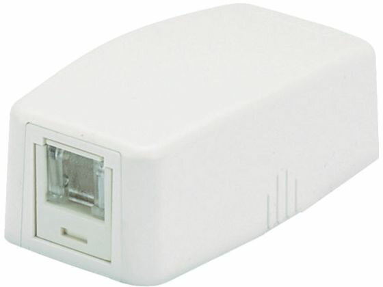 楽天ココデカウ【レビュー投稿で100円OFFクーポン】【お取り寄せ】パンドウイット CAT6スプリングシャッター付ローゼットキット 1個口 白 モジュラーケーブル PC用ケーブル ケーブル 電源タップ 配線パーツ 家電