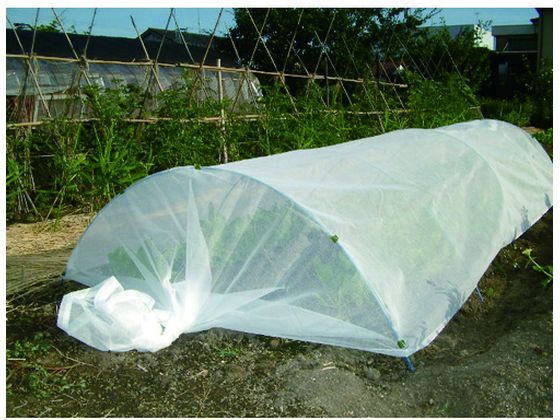 �ڳ�ŷ�����ѡ�SALE������ݥ����2�ܡ�2,000�ߥ����ݥ�ۡڤ����󤻡�Dio ������� ����� �׸�Ψ22% 1.35m��5m �� 413107 ������� ���� ��ݻ�� ���Ȼ�� ������� ����