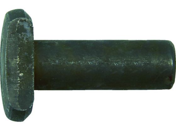 ڥ֥åե饤ǡ279:59Źݥ2ܡۡڤ󤻡ۥȡС֥åL5 LB032 Хͥ ۥ ʪή 