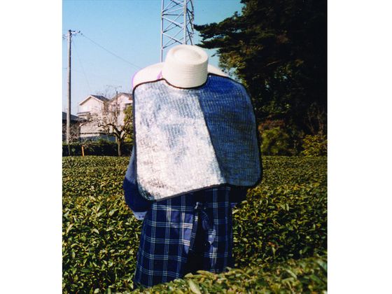 �ڥޥ饽������2000�ߥ����ݥ���ݥ����2�ܡۡڤ����󤻡�Dio ˹�ҳݤ����褱 �������ե꡼ 400558 �뤵�к����ݸ�� �����ݸ�� ���