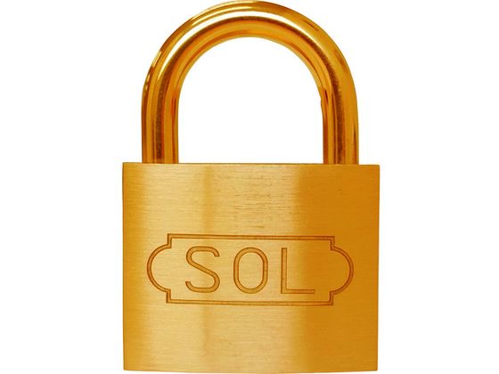 【スーパーSALE限定2,000円クーポン★11日9:59迄ポイント2倍】 【お取り寄せ】SOL シリンダー錠 25mm 2500-25 補助錠 建築金物 土木 建築資材