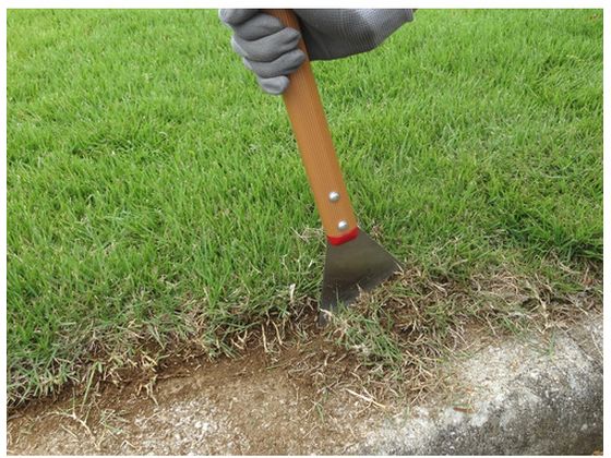 �ڥ�ӥ塼��Ƥ�100��OFF�����ݥ�ۡڤ����󤻡�GS �����Υ��å��ڤ�(��)������ 4008 ������� ���� ��ݻ�� ���Ȼ�� ������� ����