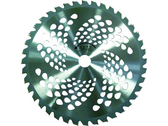 �ڥ�ӥ塼��Ƥ�100��OFF�����ݥ�ۡڤ����󤻡�GS ��������åץ���230mm36���2���� 210428 ��ʧ�� ���ȵ��� ���� ���Ȼ�� ������� ������� ����