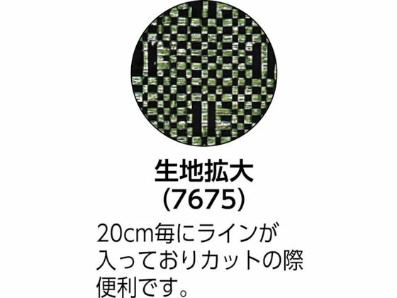 【楽天スーパーSALE限定★ポイント2倍＆2,000円クーポン】【お取り寄せ】GS 強力防...