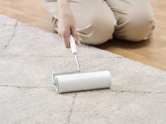 �ڥ�ӥ塼��Ƥ�100��OFF�����ݥ�ۥ����ꥹ������� �ȥ륯�� �����ڥåȥ��꡼�ʡ� �ʤʤ� �ơ��� 3�� ���ڥ� �򴹥ơ��� �����ڥåȥ��꡼�ʡ� ���� ����