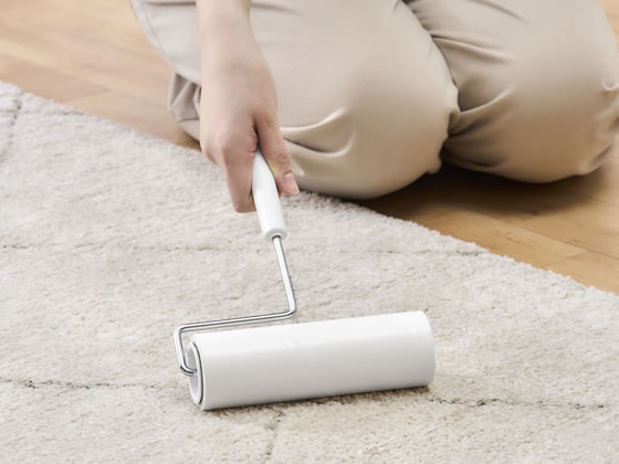 �ڥ�ӥ塼��Ƥ�100��OFF�����ݥ�ۥ����ꥹ������� �ȥ륯�� �����ڥåȥ��꡼�ʡ� �ʤʤ� �ơ��� ��Ǵ�� 3�� ���ڥ� �򴹥ơ��� �����ڥåȥ��꡼�ʡ� ���� ����