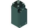 【レビュー投稿で100円OFFクーポン】【お取り寄せ】Pizzato リミットスイッチ FMタイプ5 プランジャ01形 FM 501 スイッチ 電気 電子部品 生産加工用品 作業用品 工具