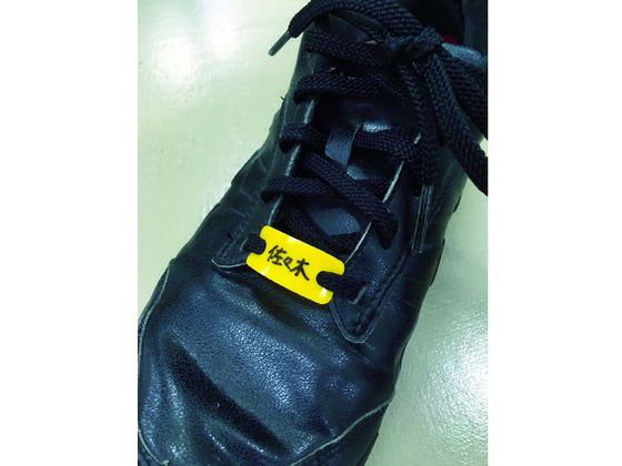 �ڥޥ饽������2000�ߥ����ݥ���ݥ����2�ܡۡڤ����󤻡�TRUSCO ���ѥ͡���ץ졼��10���� �� TSNP-B ������ ��ȷ� ���ˡ����������� �����ݸ�� ���