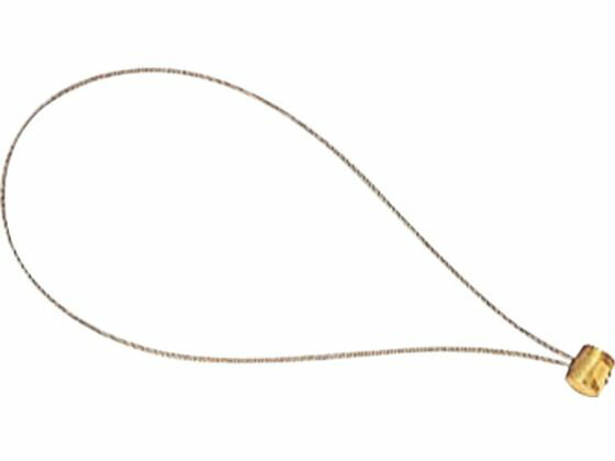 【レビュー投稿で100円OFFクーポン】【お取り寄せ】タジマ 安全ロープ用 工具接続ワイヤー AZ-WIR 墜落制止用器具 安全保護具 作業