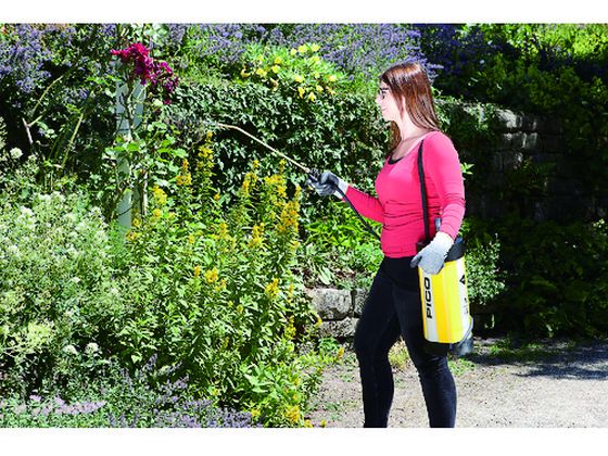 �ڥ�ӥ塼��Ƥ�100��OFF�����ݥ�ۡڤ����󤻡�MESTO �ܰ���ʮ̸�� 3232TT PICO 5L 3232TT ʮ̸�� ���� ʮ̸ ���Ȼ�� ������� ������� ����