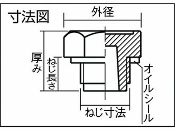 �ڥ�ӥ塼��Ƥ�100��OFF�����ݥ�ۡڤ����󤻡�ELESA ������ץ饰 ��������ˡ19mm ����16 PN-1 4 �� �������� �������� �ᥫ�˥������� ������� ����