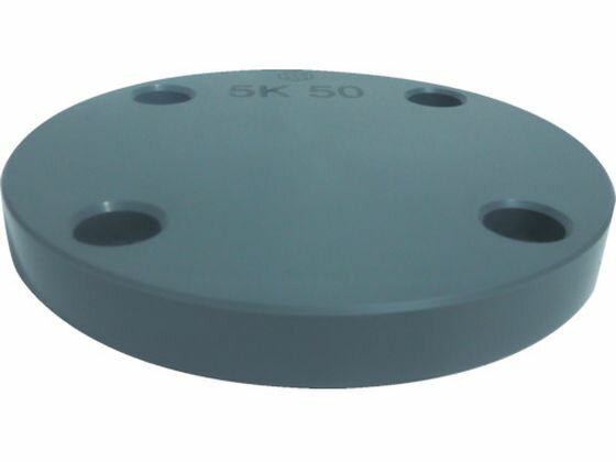 【ブラックフライデー限定★27日9:59迄店内ポイント2倍】【お取り寄せ】エスロン 板フランジSB型 20 JIS5K PVC FSB205 真空ポンプ関連商品...