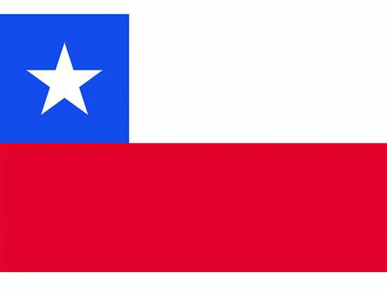 【楽天スーパーSALE限定★ポイント2倍＆2,000円クーポン】【お取り寄せ】東京製旗 国旗No.1(70×105cm) チリ 416427 安全標識 ステッカー 現場 安全 作業