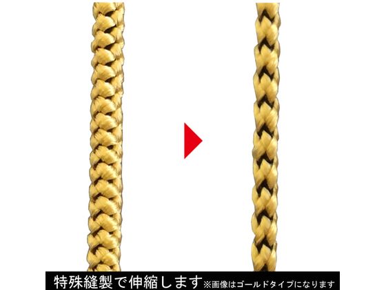 �ڥ�ӥ塼��Ƥ�100��OFF�����ݥ�ۡڤ����󤻡ۥե��� �����եƥ�������3kg������(��) FSC-3GD ���������Ѵ�� �����ݸ�� ���