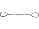 【店内全品ポイント2倍★16日9:59迄】 【お取り寄せ】TRUSCO Wスリング Aタイプ 8mm×1.0m GR-8S1 ワイヤー スリング 吊具 バランサー 物流 作業(4)