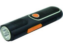 【マラソン限定クーポン★11日9:59迄ポイント2倍】【お取り寄せ】日動 自家発電LEDライト 手回し充電タイプ ラジオ付 備蓄 常備品 防災