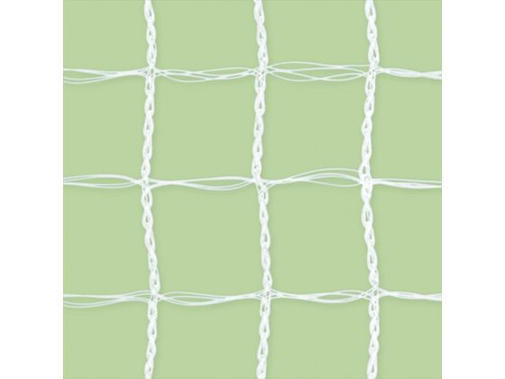 �ڥޥ饽������2000�ߥ����ݥ���ݥ����2�ܡۡڤ����󤻡�Dio ��Ω���ˤ���Ʃ��Ļ�褱�ͥå� 2m��4m �� 252232 �ͥå� ������ �ޥ�� ���� ��ݻ�� ���Ȼ�� ������� ������� ����