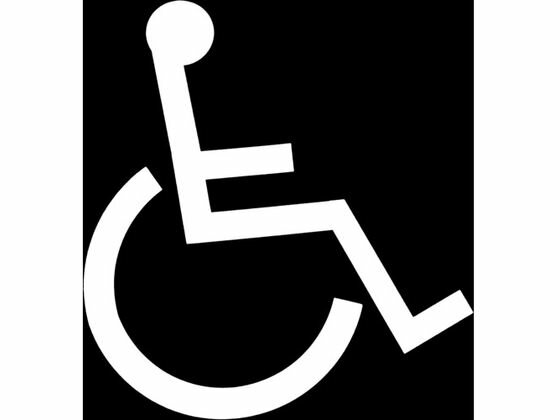 【レビュー投稿で100円OFFクーポン】【お取り寄せ】新富士 ロードマーキング サイン 車いすマーク RM20..