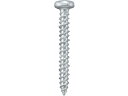 【ポイント2倍★22日20:00〜27日9:59迄】【お取り寄せ】エビ プラグレスビス(100本入) 5.0×25mm PNV525 ボルト ねじ 釘 素材 作...