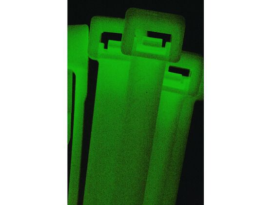【レビュー投稿で100円OFFクーポン】【お取...の紹介画像2