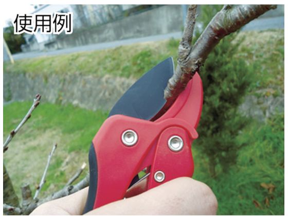 �ڥ�ӥ塼��Ƥ�100��OFF�����ݥ�ۡڤ����󤻡�DAISHIN EG ���̥�����åȼ������� 175mm 700600 ����ϥ��� ���� ���Ȼ�� ������� ������� ����