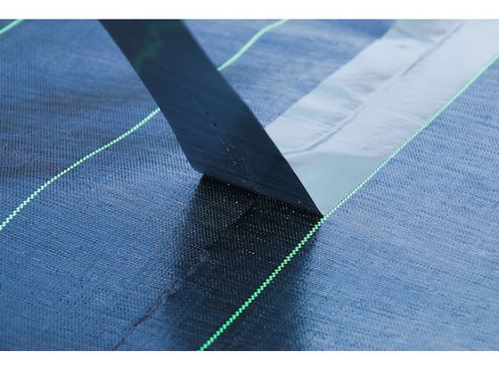 �ڳ�ŷ�����ѡ�SALE������ݥ����2�ܡ�2,000�ߥ����ݥ�ۡڤ����󤻡�Dio ��̩�����𥷡����ѥơ��� 253376 ������� ���� ��ݻ�� ���Ȼ�� ������� ����