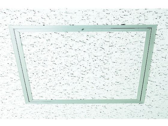 �ڥ�ӥ塼��Ƥ�100��OFF�����ݥ������̵���ڤ����󤻡ۥ�˰� �����ŷ�������� �ۥ磻�ȥ�˥ϥå� 450�� 000922 ����