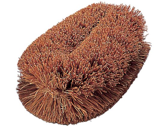 【レビュー投稿で100円OFFクーポン】【お取り寄せ】TRUSCO ナチュラルブラシ「いがぐり君」 140mm TW-M..