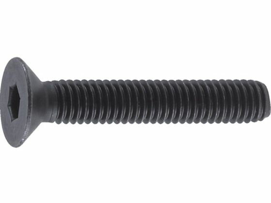 乐天商城 - 【レビュー投稿で100円OFFクーポン】【お取り寄せ】TRUSCO 六角穴付皿ボルト 黒染め 全ネジ M10×35 15本入 B73-1035 ボルト ねじ 釘 素材 作業用品 工具