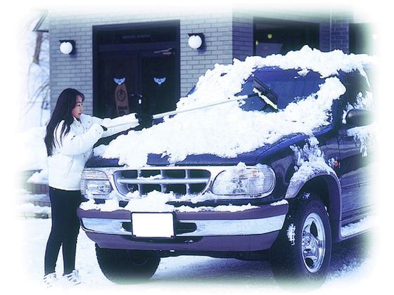 �ڥ�ӥ塼��Ƥ�100��OFF�����ݥ������̵�� ����ѥ� RV���󥰥֥饷152cm 009729 �㤫�� ������ ���� ���� ���