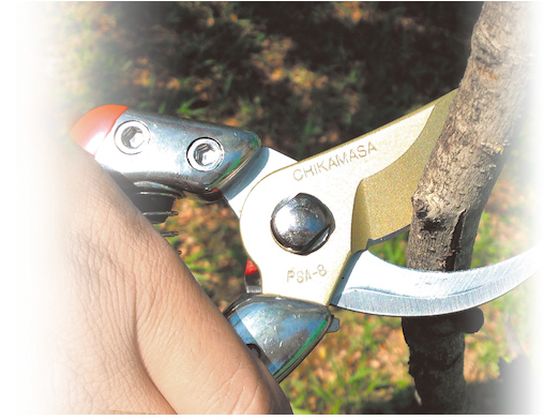 �ڥ�ӥ塼��Ƥ�100��OFF�����ݥ�ۡڤ����󤻡۶��� ����ȥ���å�G8 ������ PSA-G8 ����ϥ��� ���� ���Ȼ�� ������� ������� ����