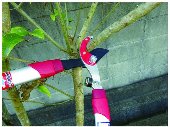 �ڥ�ӥ塼��Ƥ�100��OFF�����ݥ������̵���ڤ����󤻡�GS ����������� ���å����������� 2043 �����ϥ��� ���� ���Ȼ�� ������� ������� ����