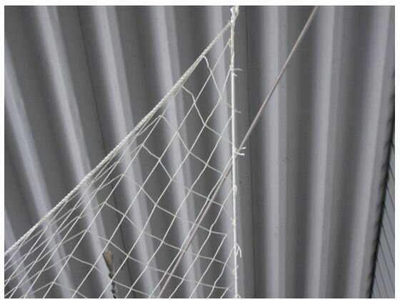 �ڳ�ŷ�����ѡ�SALE������ݥ����2�ܡ�2,000�ߥ����ݥ�ۡڤ����󤻡ۥ楿���ᥤ�� ������ �ʥ����������3���� 4�ա�10m A-71 �ʥ���������� ��¤��ɳ ����