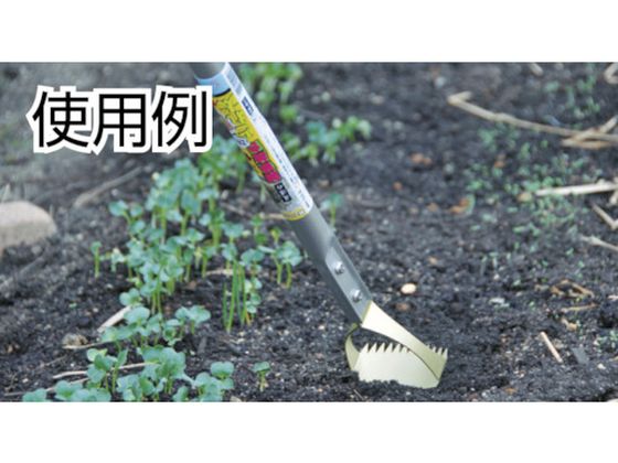 �ڳ�ŷ�����ѡ�SALE������ݥ����2�ܡ�2,000�ߥ����ݥ�ۡڤ����󤻡ۥɥ����� ��� ����Ȥ��� �ؿ�(Ĺ����) DK811K ���ڤ� ���ڤ� ���� ���� ���Ȼ�� ������� ������� ����