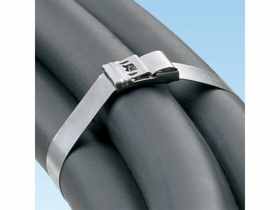 【ポイント2倍★19日20:00〜26日1:59迄】【お取り寄せ】パンドウイット バックルロック式長尺ステンレスバンド用バックル SUS316 MSBW50-C6 結束バンド 結束工具 固定具 電気材料 生産加工用品 作業用品 工具