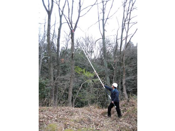 �ڥ�ӥ塼��Ƥ�100��OFF�����ݥ������̵���ڤ����󤻡ۥ˥����� ���Ǥ���ȯ 4m N-761 �� �ϥ��� ���å��� �Ķ��ѹ��� ������� ����