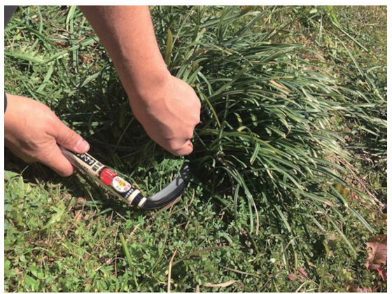 �ڥޥ饽������2000�ߥ����ݥ���ݥ����2�ܡۡڤ����󤻡�˭̭ �������ҿ�����120mm HT-0050 �� ���� �ĥ�ϥ� ���� ���Ȼ�� ������� ������� ����