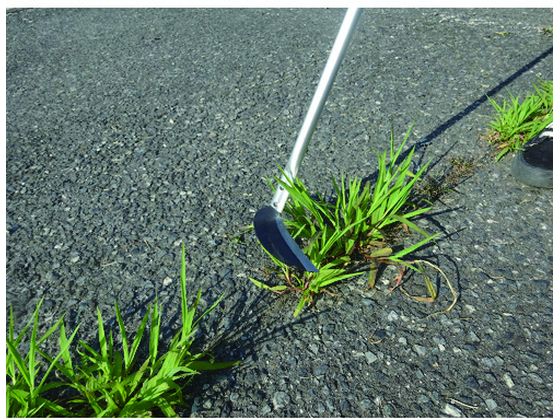 �ڥ�ӥ塼��Ƥ�100��OFF�����ݥ������̵���ڤ����󤻡�GS ����ߥѥ����� ���� 610100 �� ���� �ĥ�ϥ� ���� ���Ȼ�� ������� ������� ����