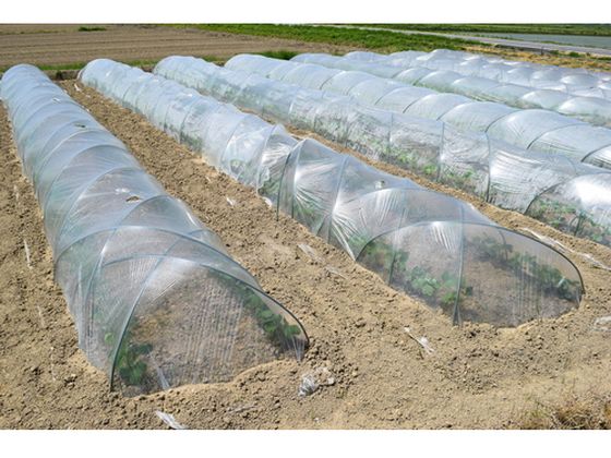 【レビュー投稿で100円OFFクーポン】【お取り寄せ】Dio 防虫ネット1.35×5m 透明 24...